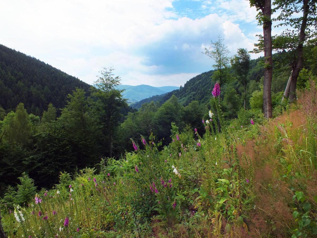 Chata Údolíčko Perštejn Exteriér fotografie